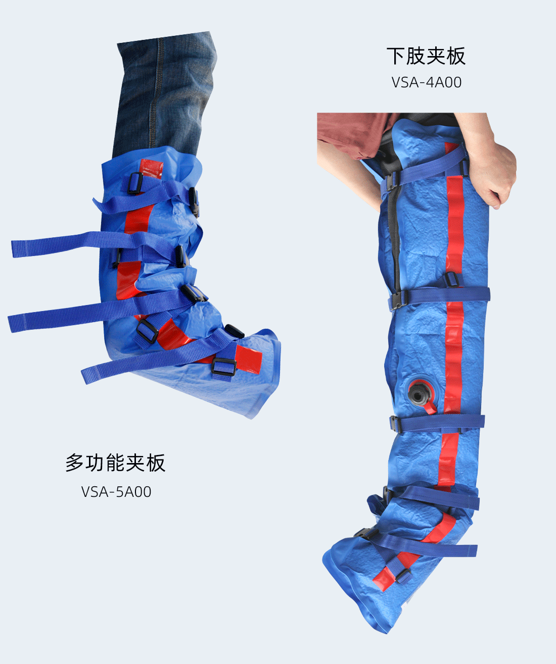 xq (3).png