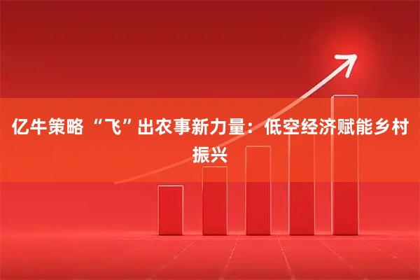 亿牛策略 “飞”出农事新力量：低空经济赋能乡村振兴