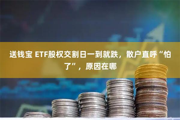 送钱宝 ETF股权交割日一到就跌,散户直呼“怕了”,原因在哪