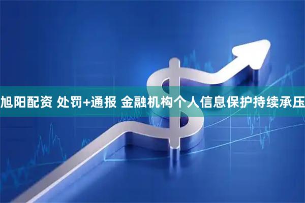 旭阳配资 处罚+通报 金融机构个人信息保护持续承压