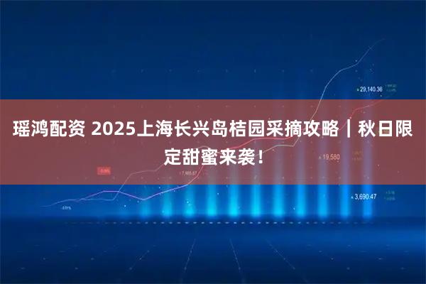 瑶鸿配资 2025上海长兴岛桔园采摘攻略｜秋日限定甜蜜来袭！